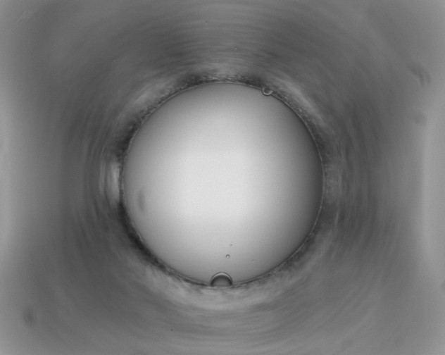 X0000115050022200911091434