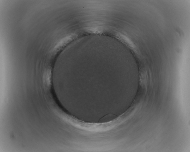 X0000115050023200911091434