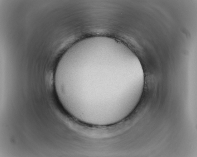X0000115050024200911091434