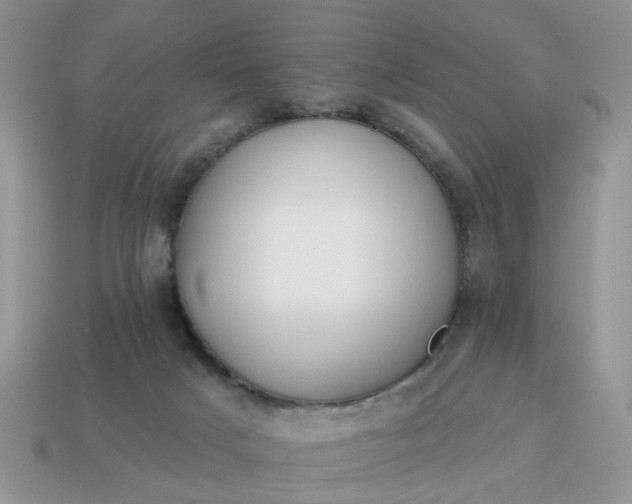 X0000115050025200911091434