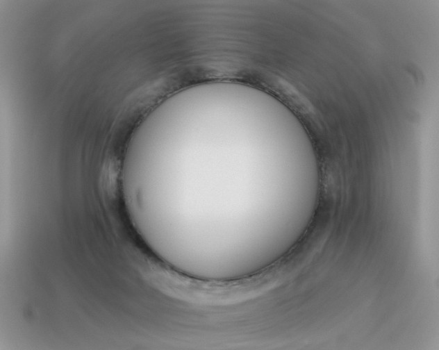X0000115050026200911091434