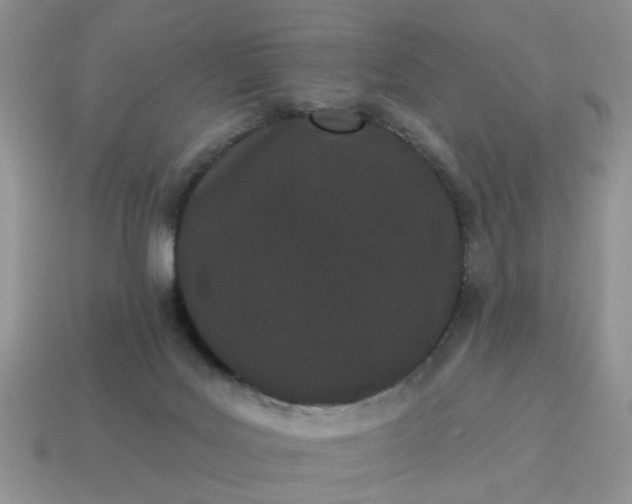 X0000115050027200911091434
