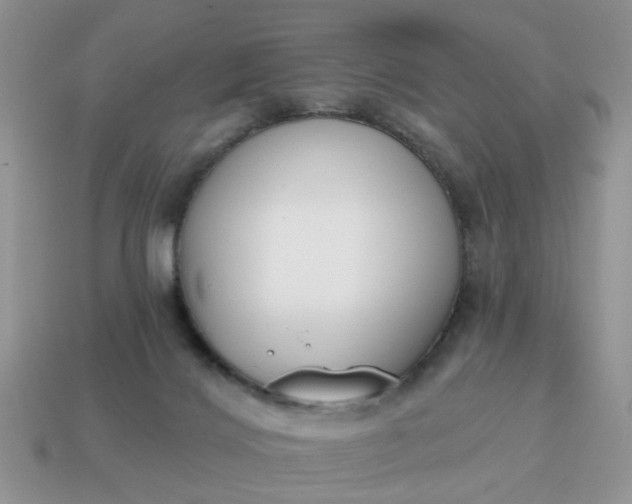 X0000115050028200911091434