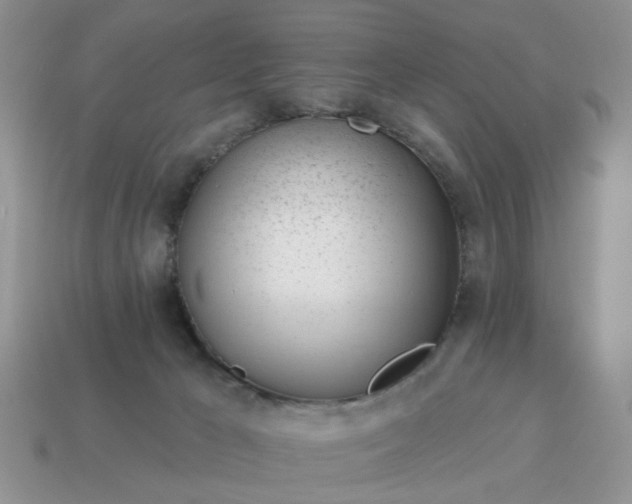X0000115050029200911091434