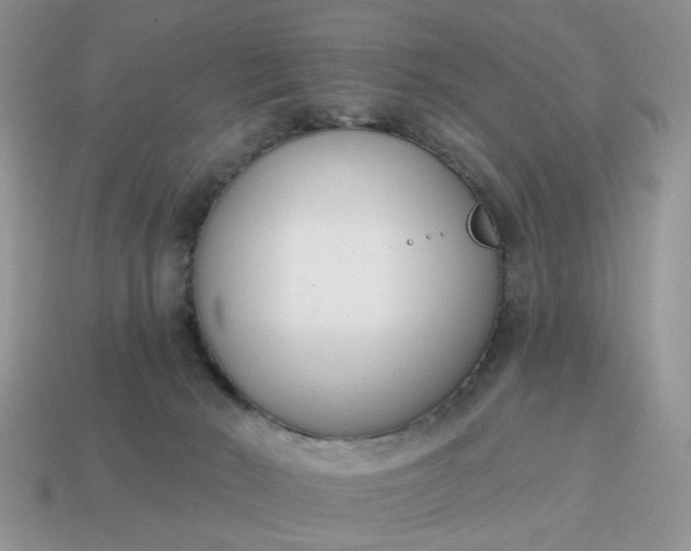 X0000115050030200911091434