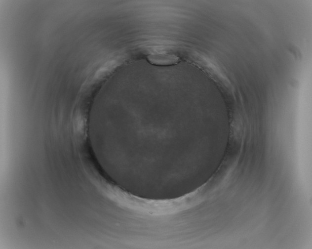 X0000115050031200911091434
