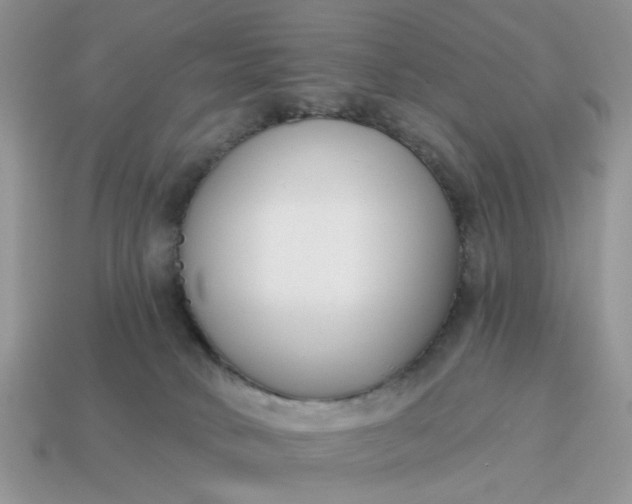 X0000115050034200911091434