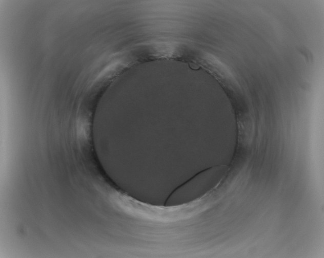 X0000115050035200911091434
