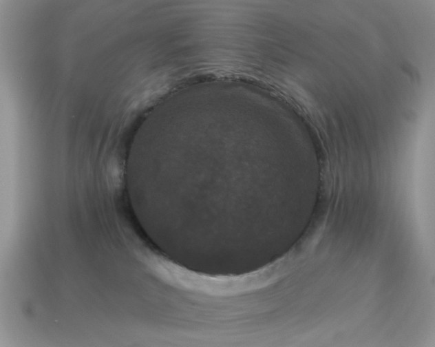 X0000115050039200911091434