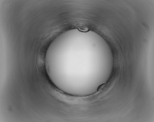 X0000115050040200911091434