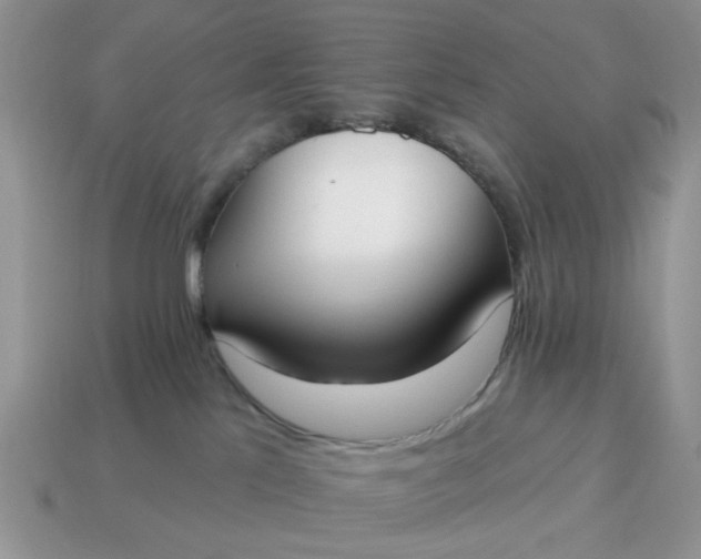X0000115050041200911091434