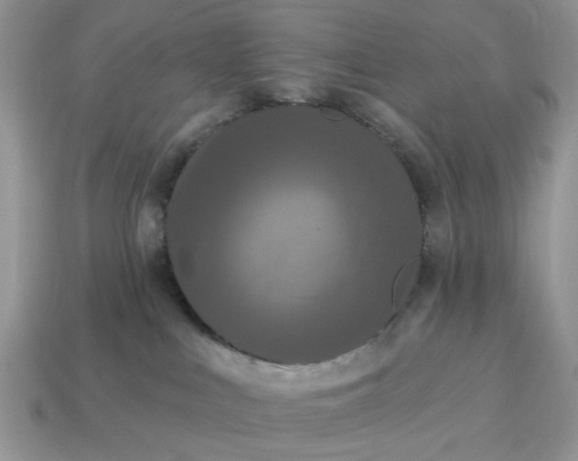X0000115050043200911091434
