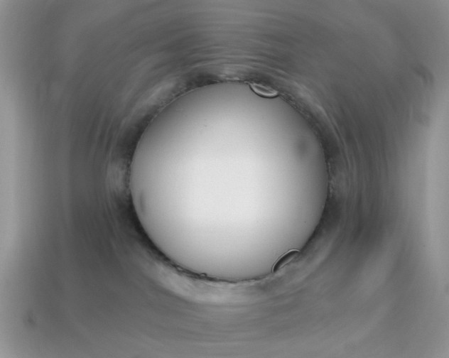 X0000115050044200911091434