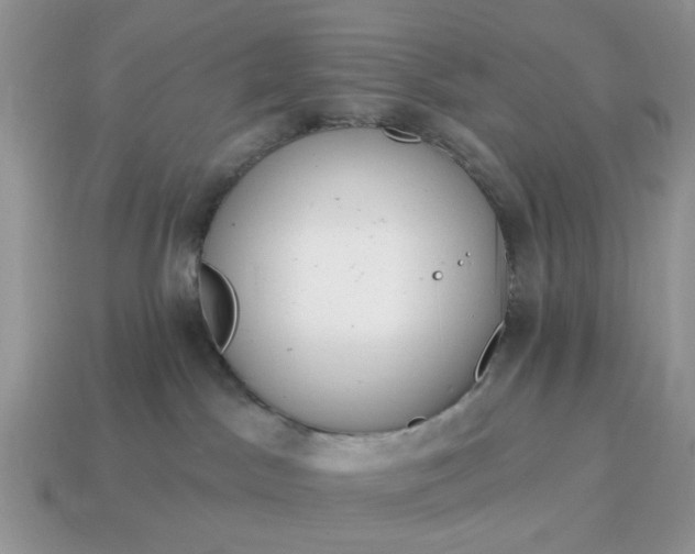 X0000115050045200911091434