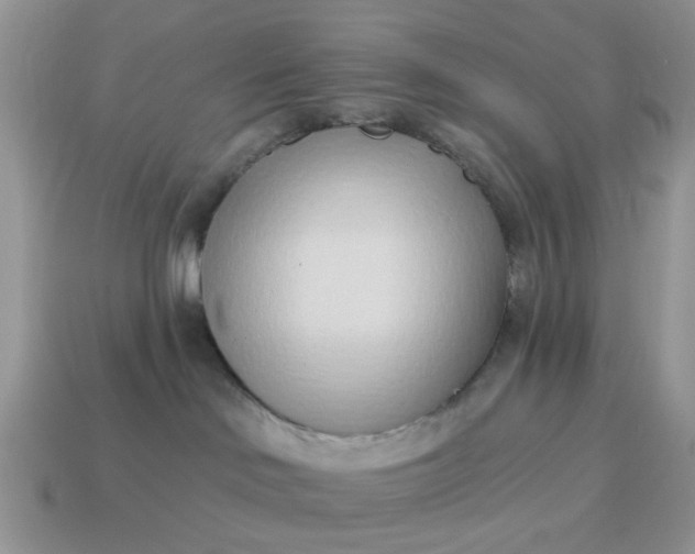 X0000115050046200911091434