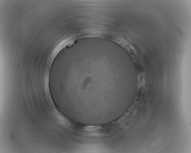 X0000115050051200911091433