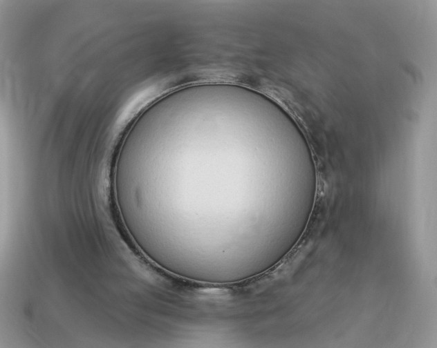 X0000115050053200911091433