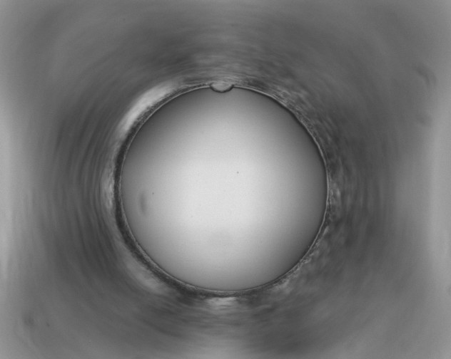 X0000115050054200911091433
