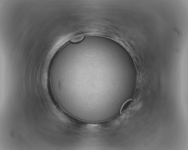 X0000115050055200911091433