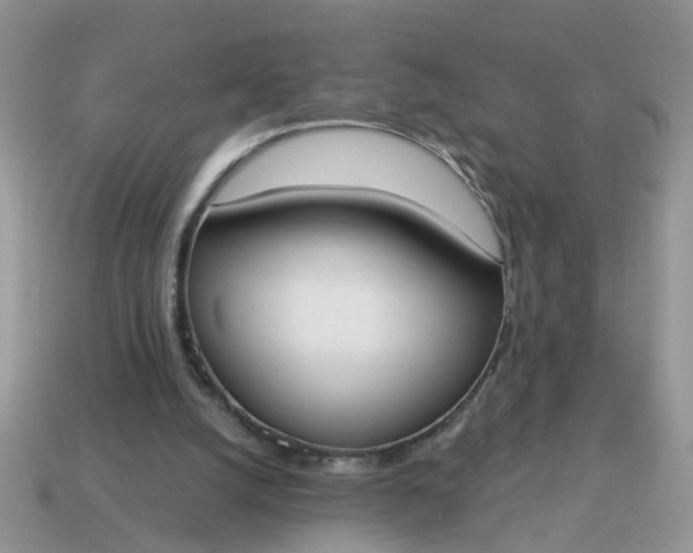 X0000115050056200911091433