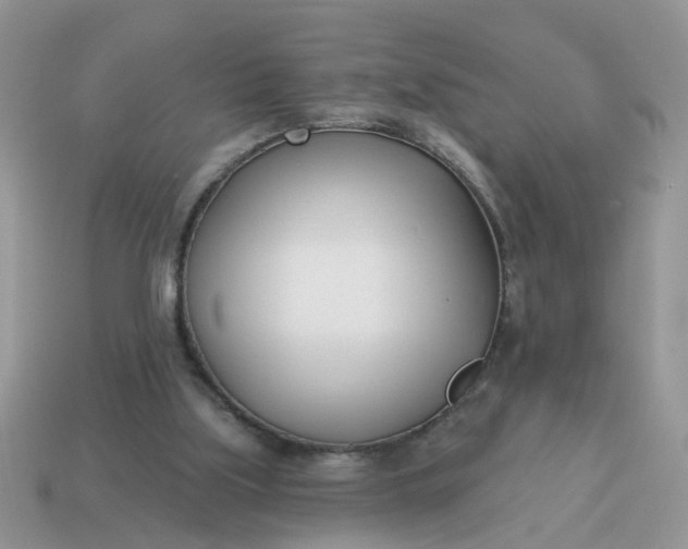 X0000115050059200911091433
