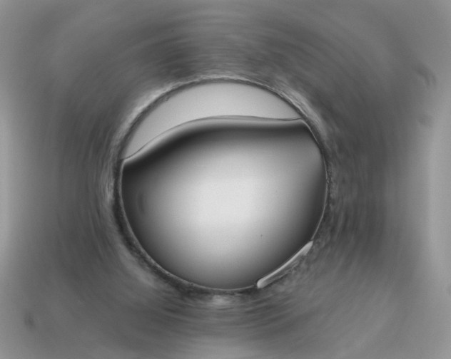 X0000115050060200911091434