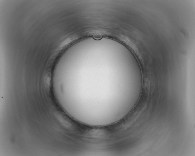 X0000115050063200911091434