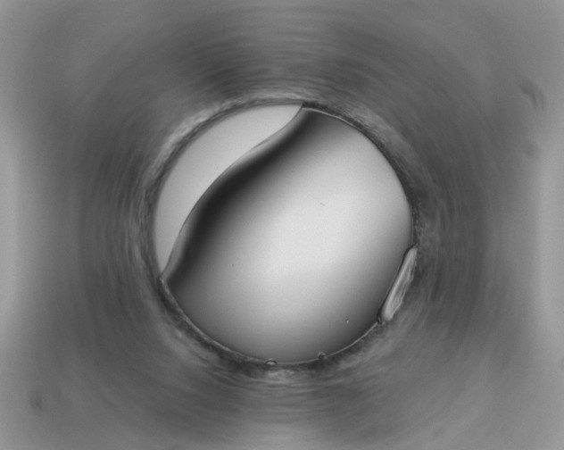 X0000115050064200911091434