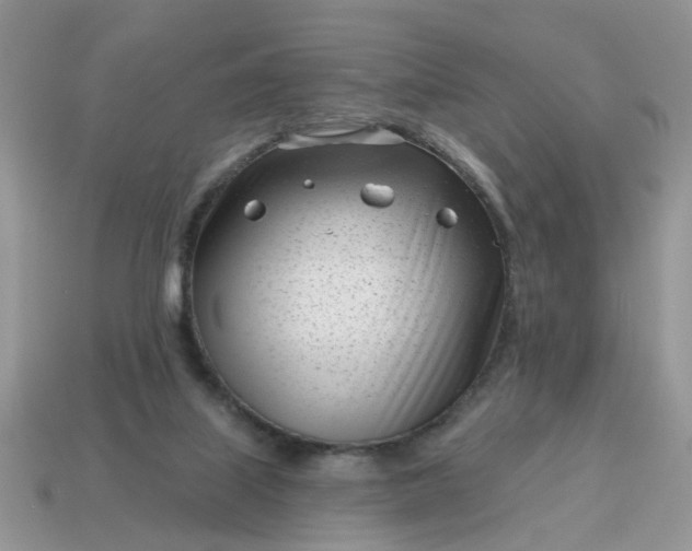 X0000115050067200911091434