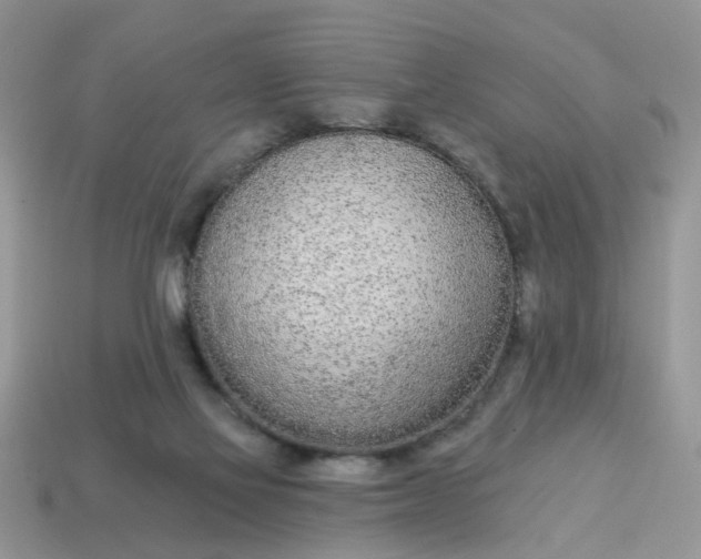 X0000115050069200911091434