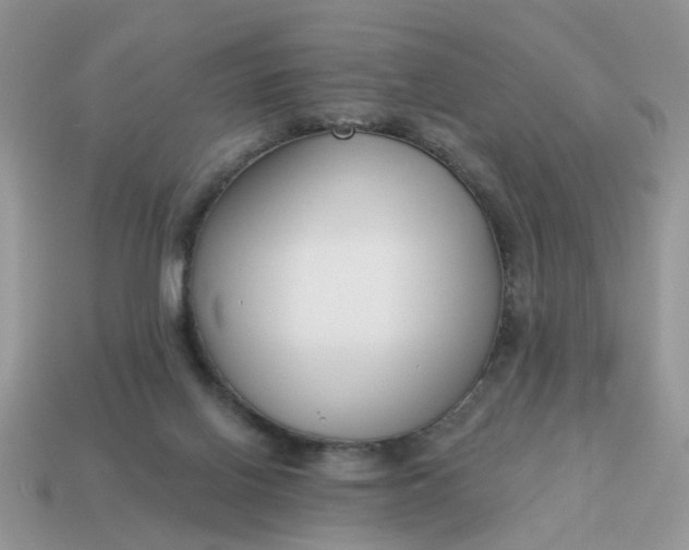 X0000115050070200911091434