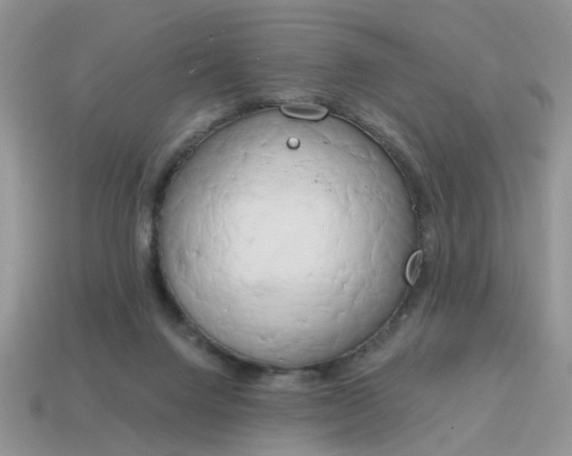 X0000115050072200911091434