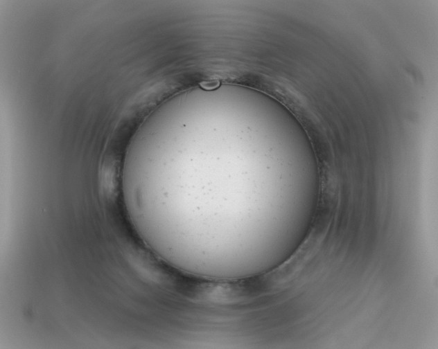 X0000115050074200911091434