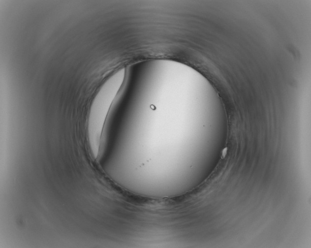 X0000115050076200911091434