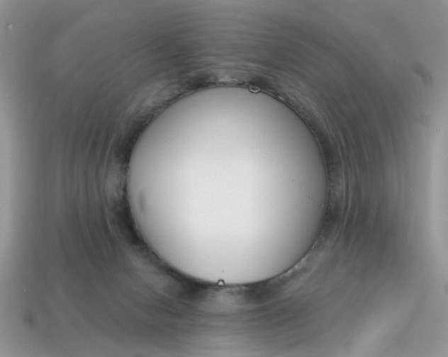 X0000115050078200911091434