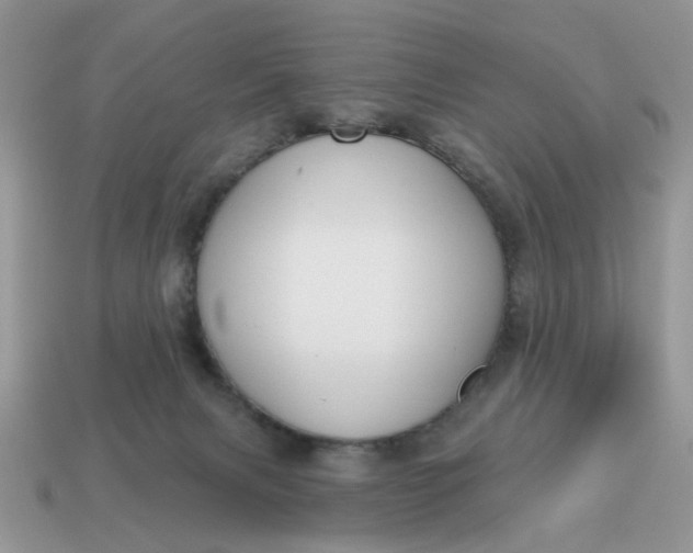 X0000115050079200911091434