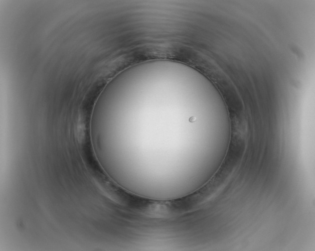 X0000115050080200911091434