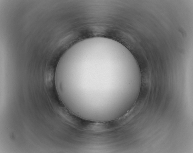 X0000115050082200911091434