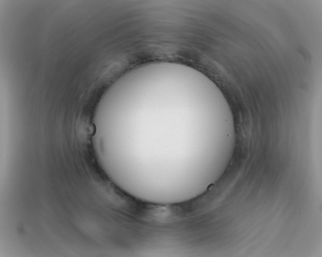 X0000115050083200911091434