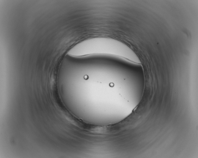 X0000115050084200911091434