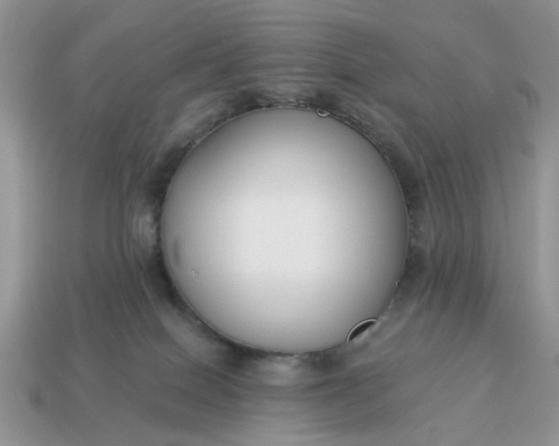 X0000115050086200911091434