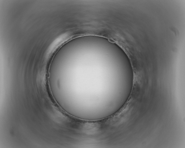 X0000115050101200911091433