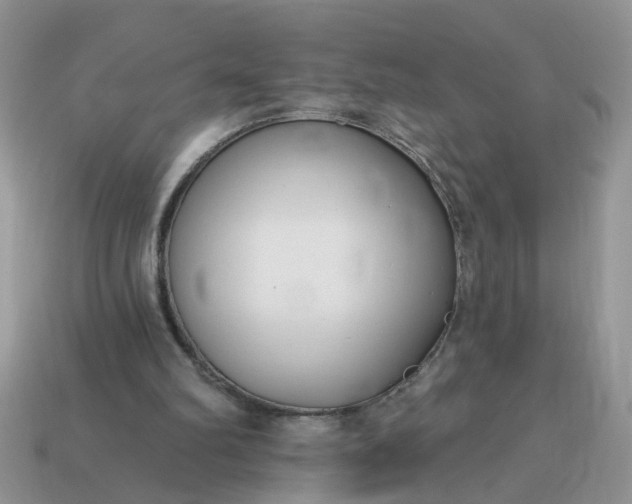 X0000115050102200911091433
