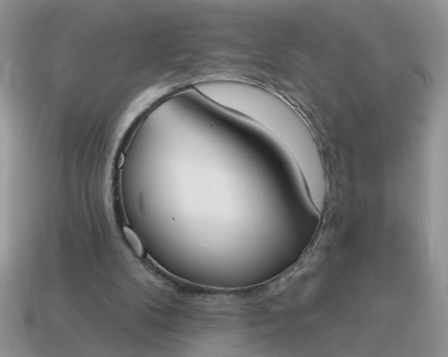 X0000115050104200911091433