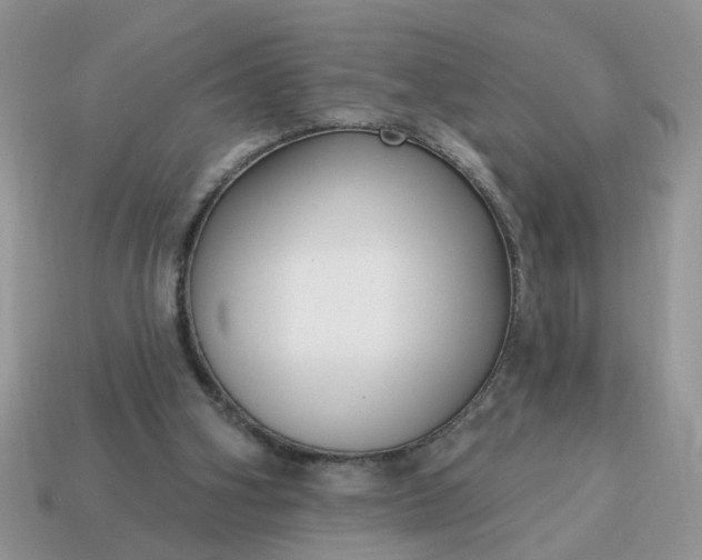 X0000115050106200911091433