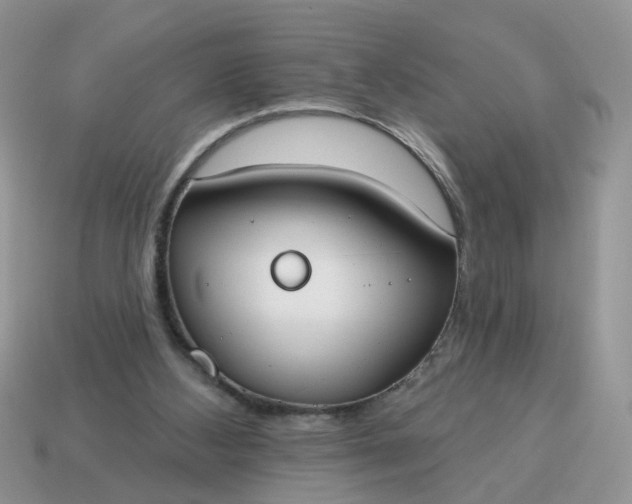 X0000115050108200911091433