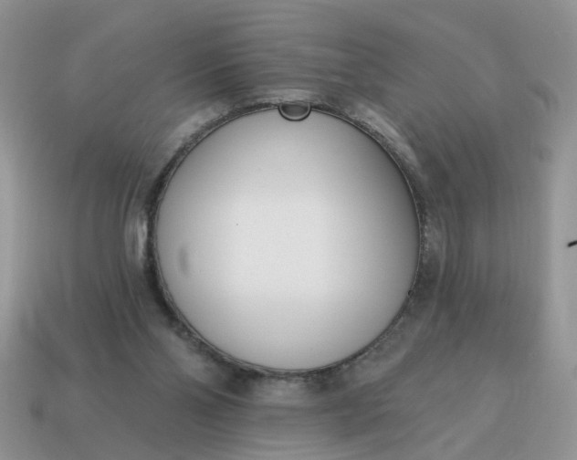 X0000115050110200911091433