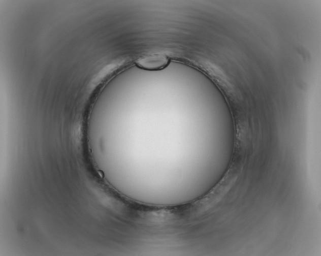 X0000115050112200911091433