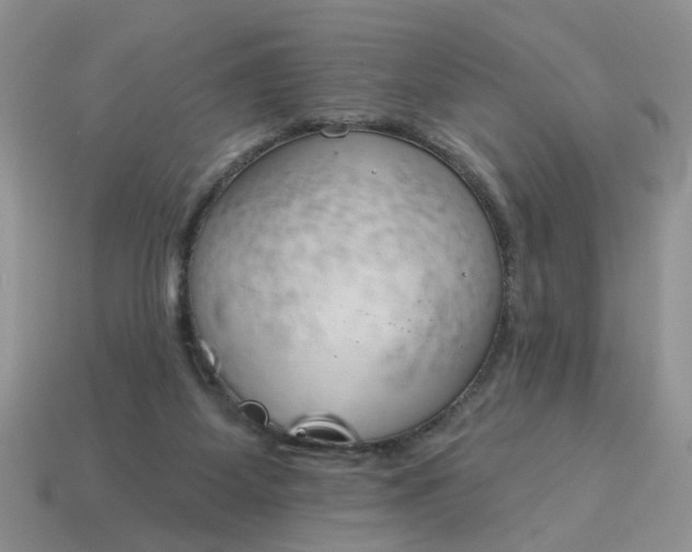 X0000115050115200911091433