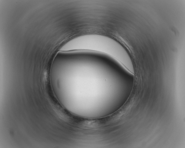 X0000115050117200911091433